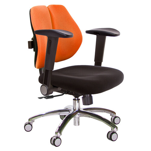 GXG 低雙背 電腦椅(鋁腳/摺疊滑面扶手) TW-2603 LU1J