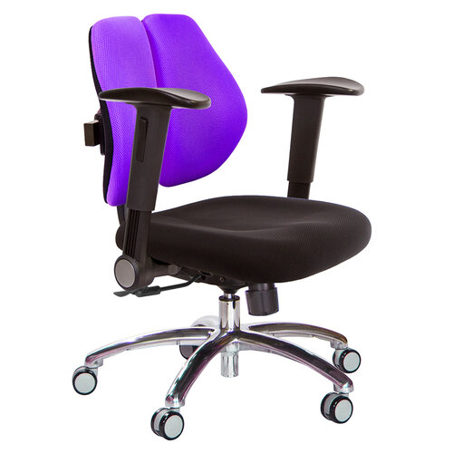 GXG 低雙背 電腦椅(鋁腳/摺疊扶手) TW-2603 LU1