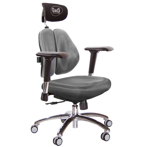 GXG 雙軸枕 雙背電腦椅(鋁腳/4D金屬扶手) TW-2604 LUA7