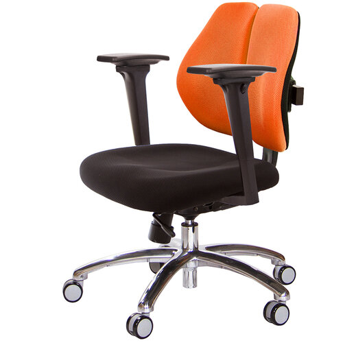 GXG 低雙背 工學椅(鋁腳/3D升降扶手) TW-2605 LU9
