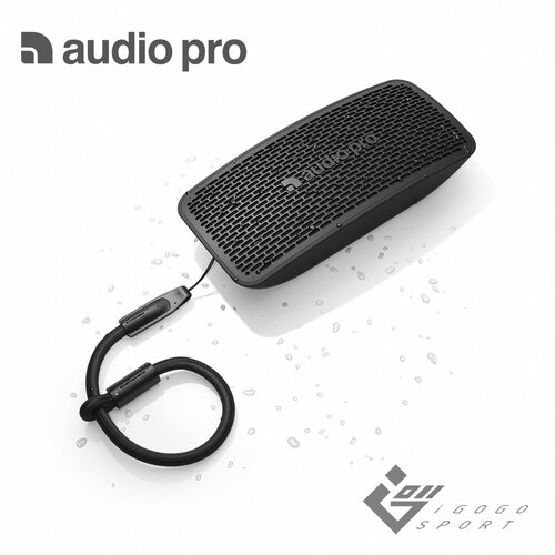 瑞典【Audio Pro】P5 藍牙喇叭